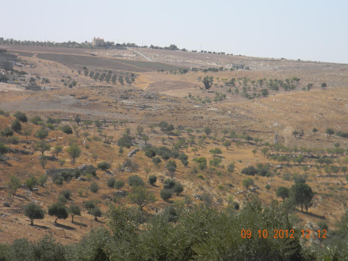 Вілла Town Of Mount Nebo Мадаба Екстер'єр фото